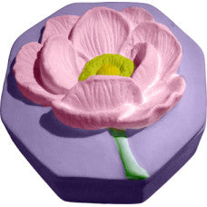 Magnolia Box