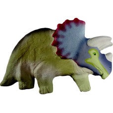 Dinosaur c Plaque